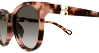 Chloé CH0375SK Sunglasses