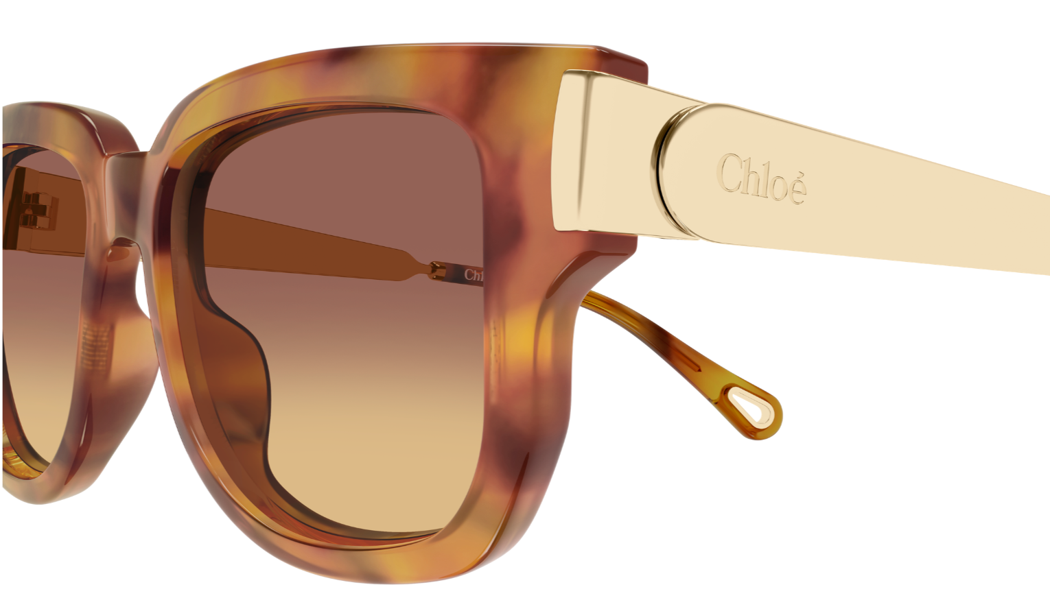 Sonnenbrille Chloé CH0351S
