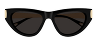 Zonnebrillen Chloé CH0350S