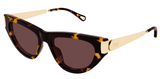Occhiali da sole Chloé CH0350S