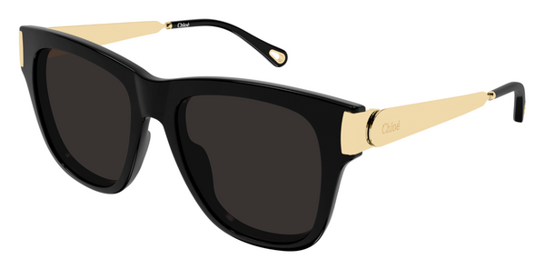 Occhiali da sole Chloé CH0349S