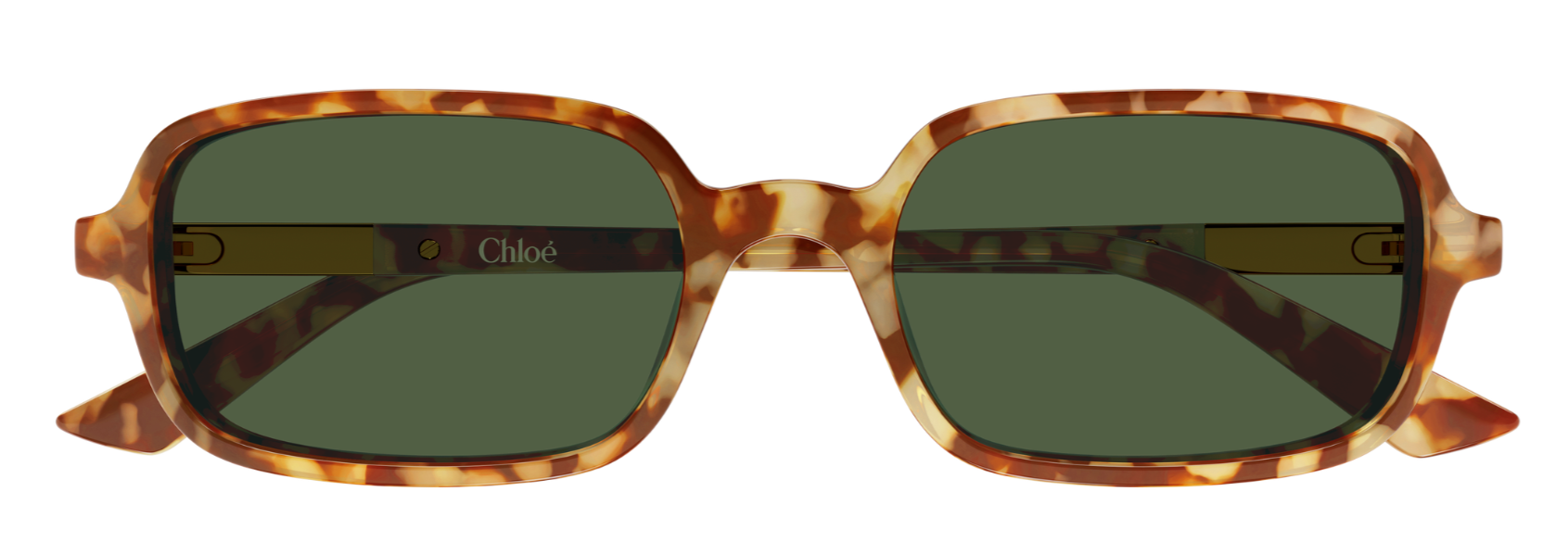 Sonnenbrille Chloé CH0363S