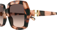 Chloe CH0301S Sunglasses