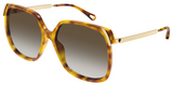 Gafas de Sol Chloe CH0286S