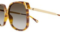 Sonnenbrille Chloe CH0286S