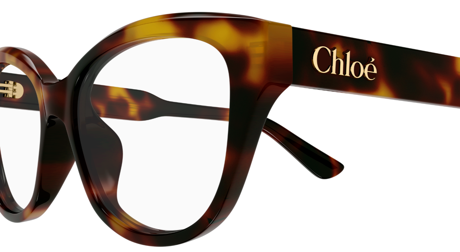 Chloé CH0381OL 光學眼鏡