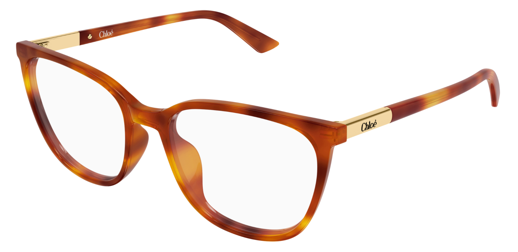 Brille Chloé CH0370OL