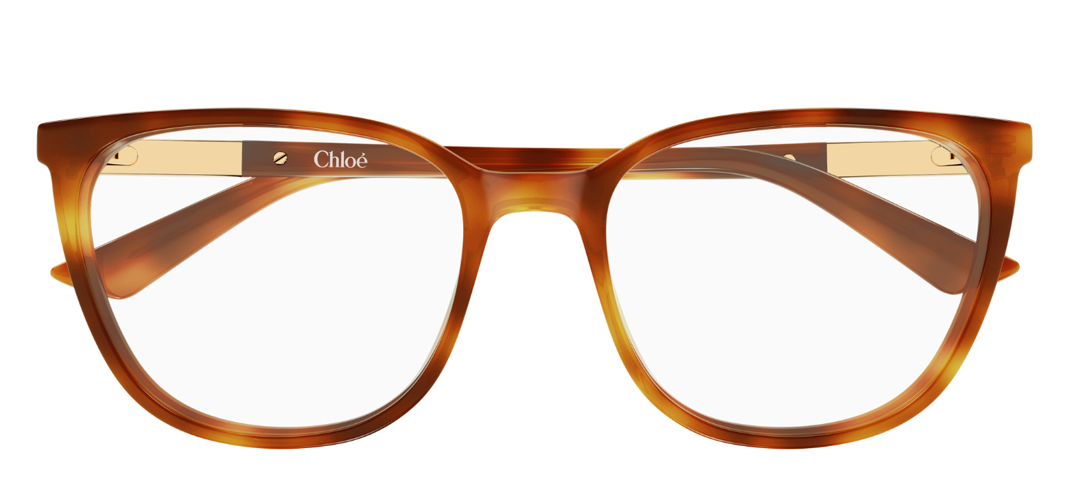 Brille Chloé CH0370OL