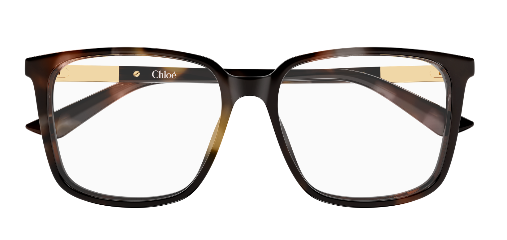 Chloé CH0369O Optical Glasses
