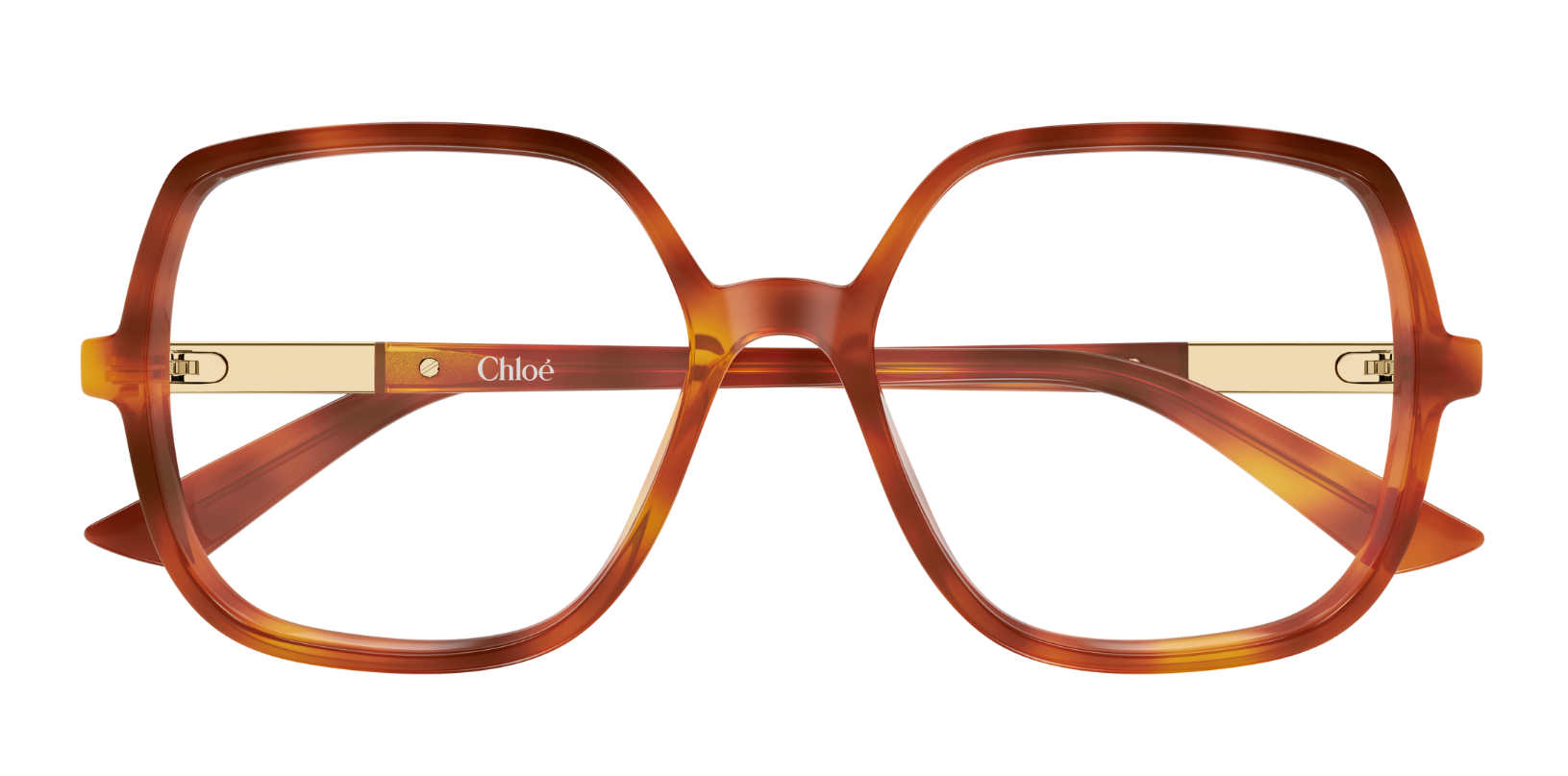 Chloé CH0368O Eyeglasses