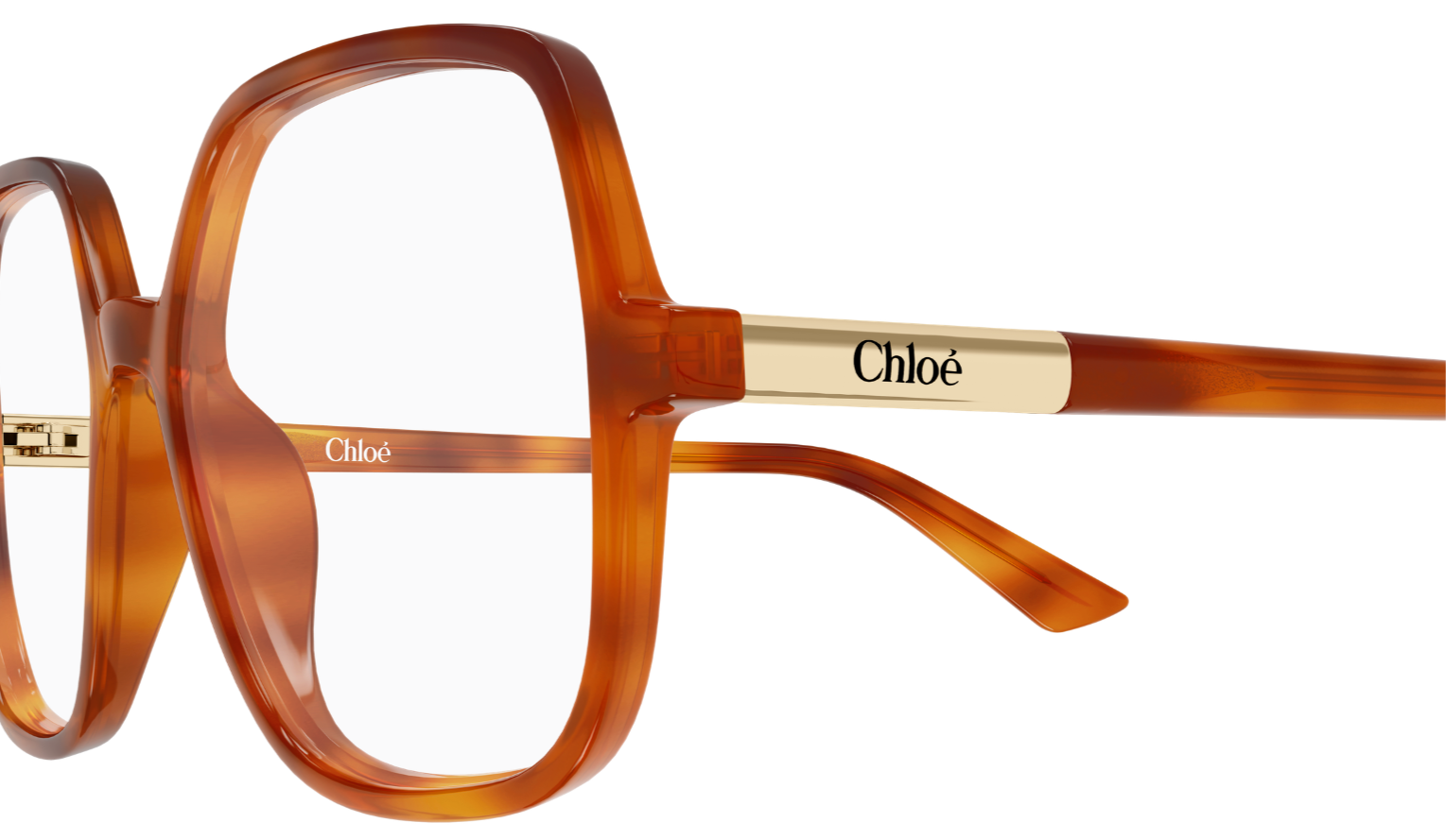 Chloé CH0368O Eyeglasses