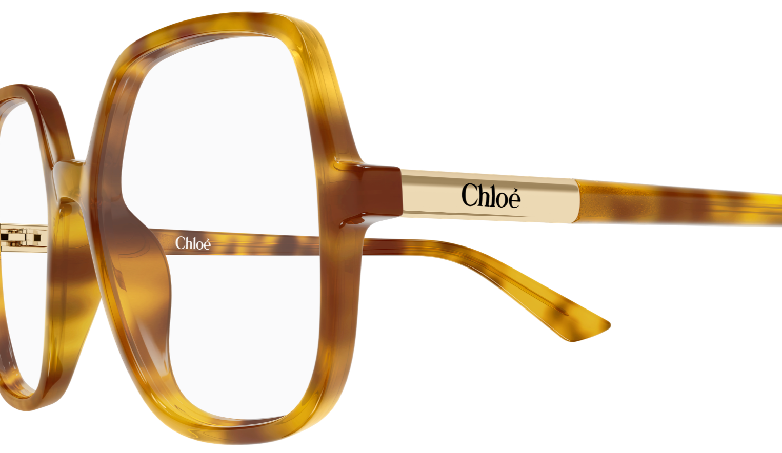 Chloé CH0368O Eyeglasses