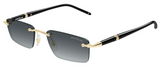 Montblanc Meisterstuck MB0484S Sunglasses