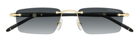 Montblanc Meisterstuck MB0484S Sunglasses