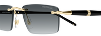 Montblanc Meisterstuck MB0484S Sunglasses