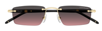 Montblanc Meisterstuck MB0484S Sunglasses