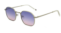 AndyBrook Clark Sunglasses