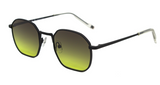AndyBrook Clark Sunglasses