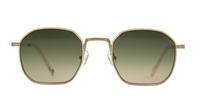 AndyBrook Clark Sunglasses