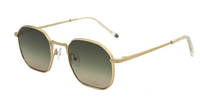 AndyBrook Clark Sunglasses