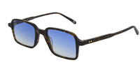 AndyBrook Collin Sunglasses