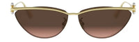 DIOR DiorTribales B2U Sunglasses