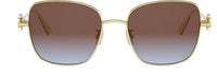DIOR DiorTribales S1U Sunglasses
