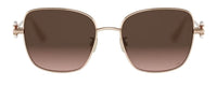 DIOR DiorTribales S1U Sunglasses
