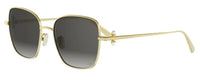 DIOR DiorTribales S1U Sunglasses