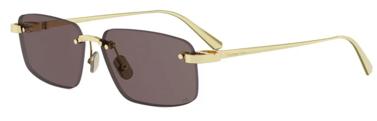 DIOR CDior S4U Sunglasses
