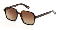 AndyBrook Tali Sunglasses