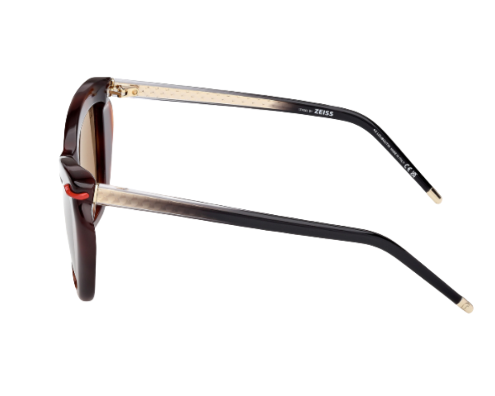 Christian Louboutin LB0011 Sunglasses