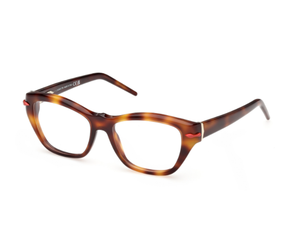 Christian Louboutin LB5013 Optical Frames