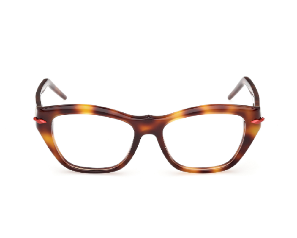 Christian Louboutin LB5013 Optical Frames