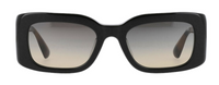 Vanessa Bruno DAILY03 Sunglasses