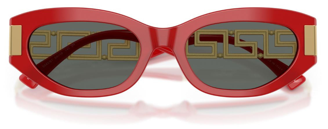Versace VE4501 Sunglasses