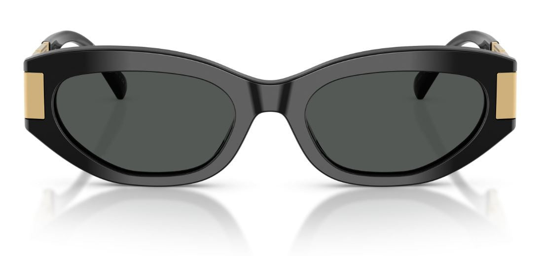 Versace VE4501 Sunglasses