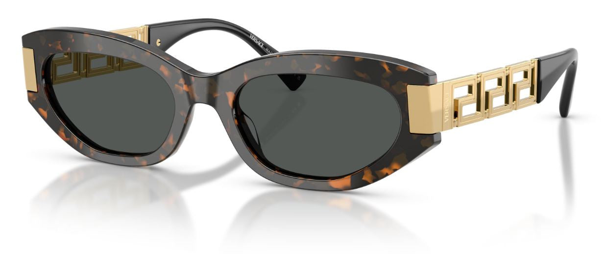 Versace VE4501 Sunglasses