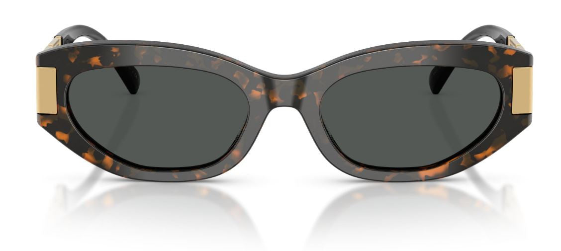 Versace VE4501 Sunglasses
