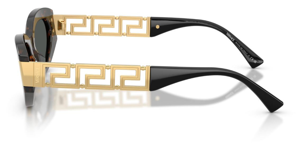 Versace VE4501 Sunglasses