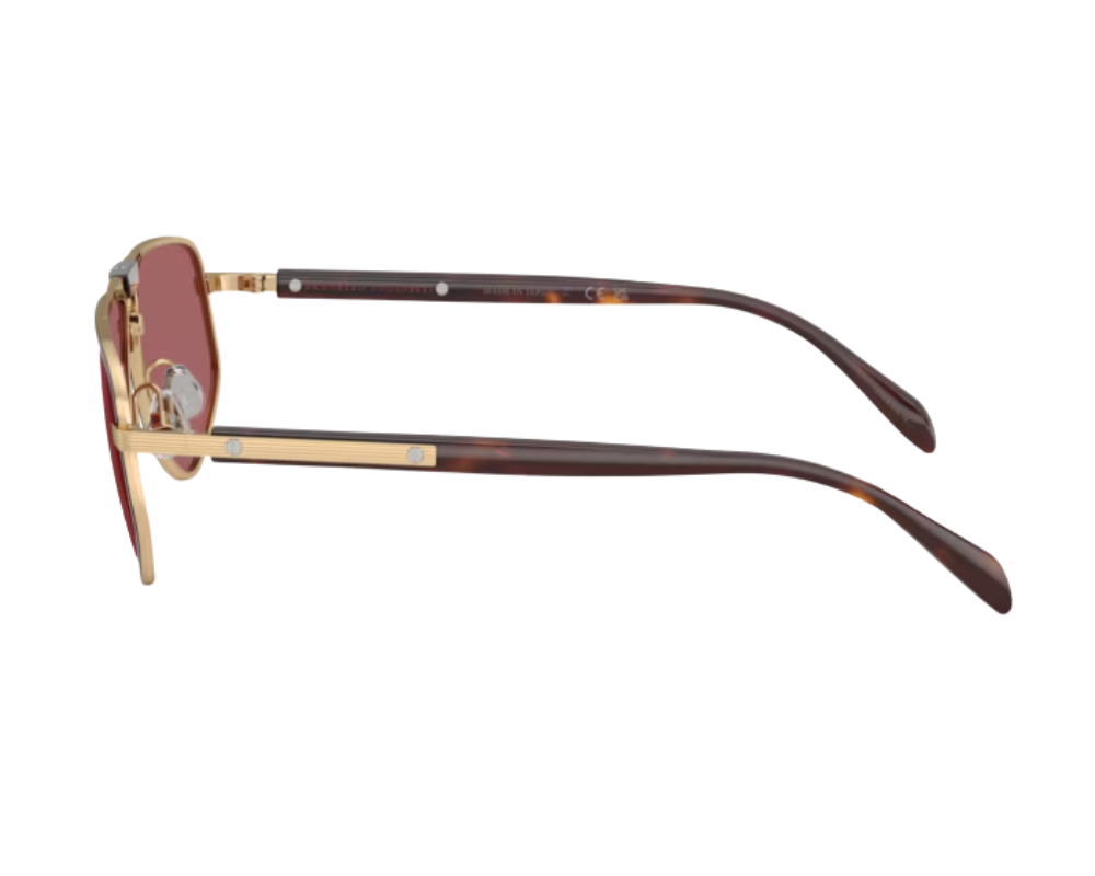 Brunello Cucinelli BC2020ST Sunglasses