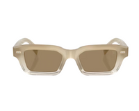 Brunello Cucinelli BC4019S Sunglasses
