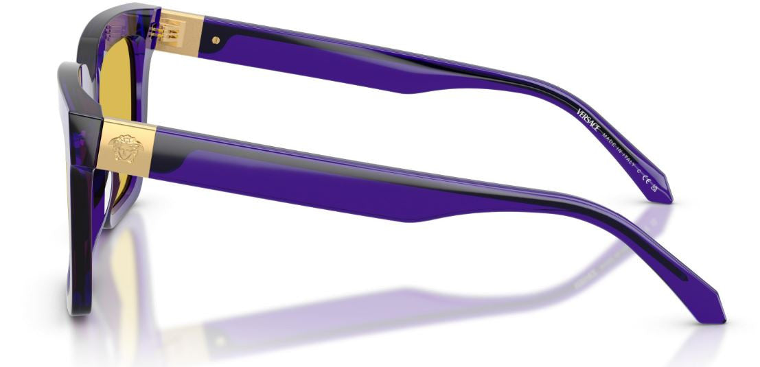 Versace VE4498 Sunglasses