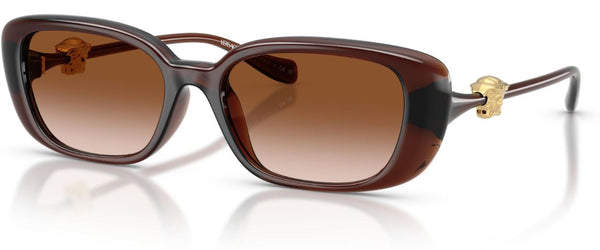 Lunettes de Soleil Versace VE4504D