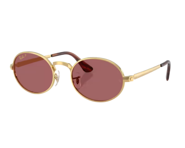 Ray-Ban ASAP Rocky RB3931 Sunglasses
