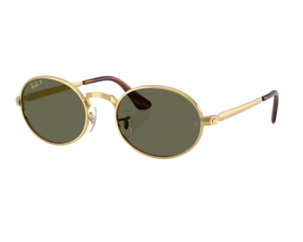 Ray-Ban ASAP Rocky RB3931 Sunglasses