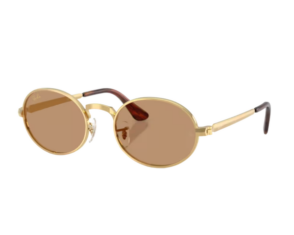 Ray-Ban ASAP Rocky RB3931 Sunglasses
