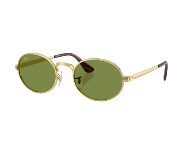 Ray-Ban ASAP Rocky RB3931 Sunglasses