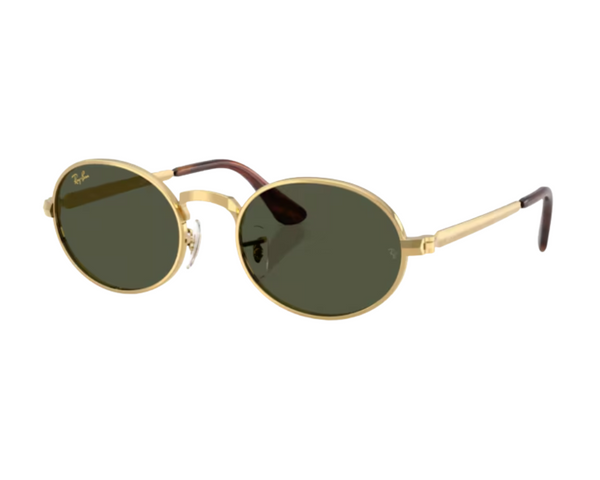 Ray-Ban ASAP Rocky RB3931 Sunglasses