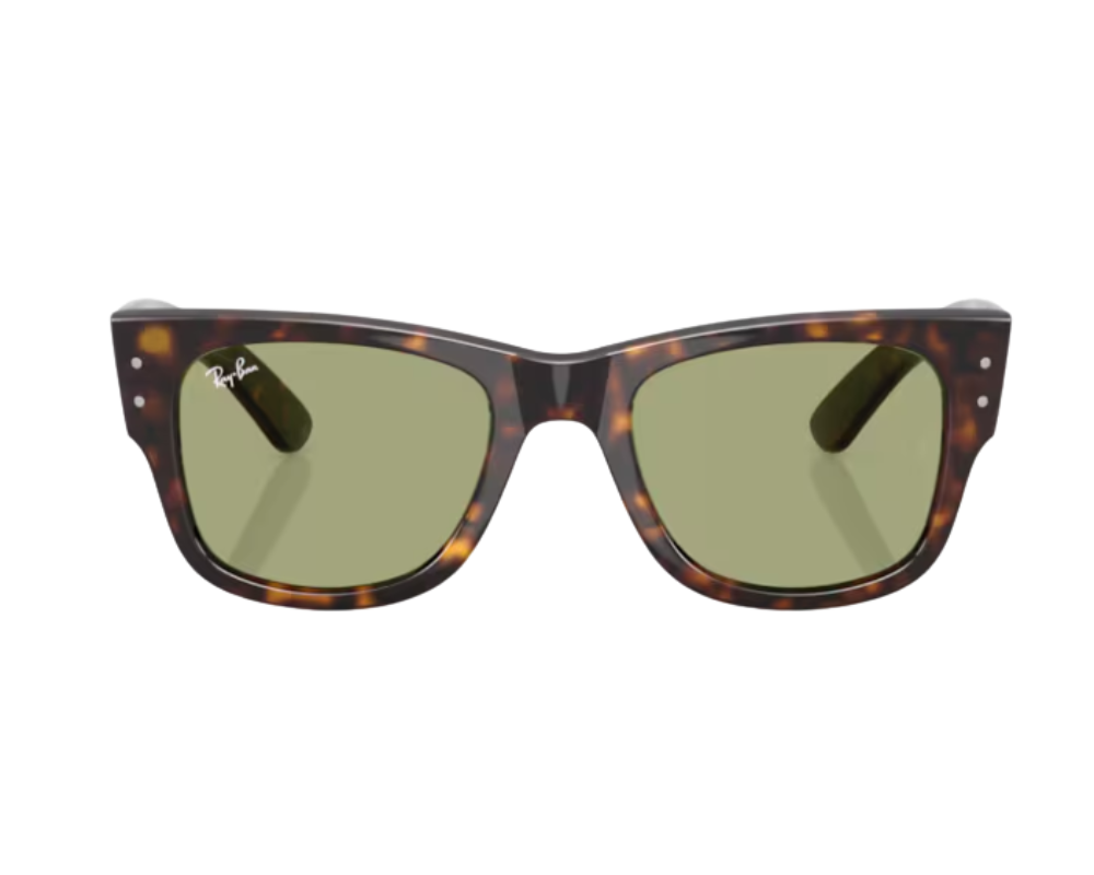 Ray-Ban Mega Wayfarer RB0840S Sunglasses